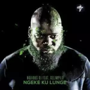 Noxious DJ - Ngeke Ku Lunge Ft. Xelimpilo